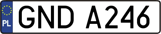GNDA246