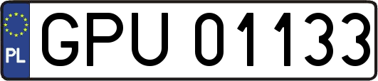 GPU01133