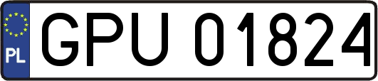 GPU01824