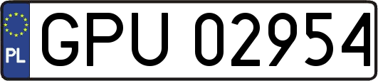 GPU02954