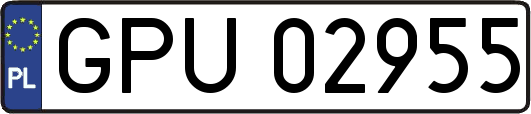 GPU02955