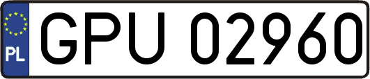 GPU02960