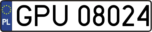 GPU08024