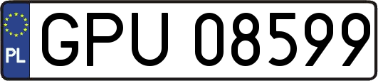 GPU08599