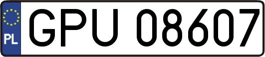 GPU08607