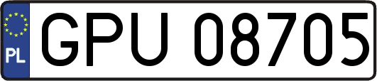 GPU08705