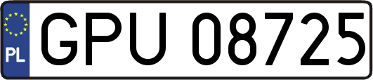 GPU08725
