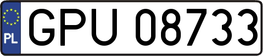 GPU08733