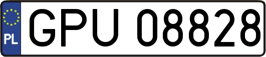 GPU08828