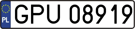 GPU08919