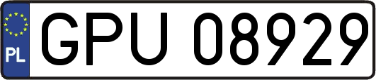 GPU08929