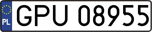 GPU08955