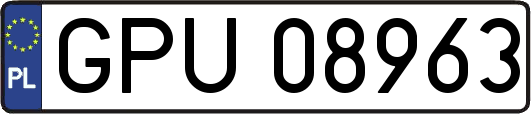 GPU08963