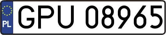 GPU08965