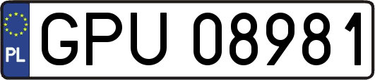 GPU08981