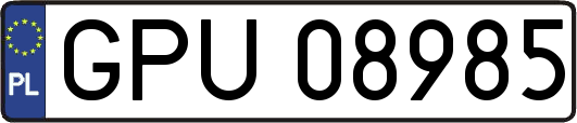 GPU08985