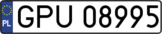GPU08995