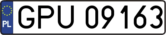 GPU09163