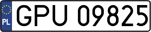 GPU09825