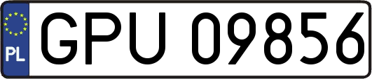 GPU09856