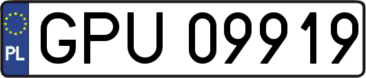 GPU09919