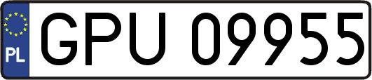 GPU09955