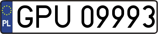 GPU09993