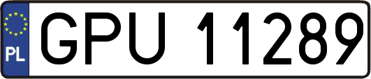 GPU11289