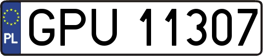 GPU11307