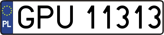 GPU11313