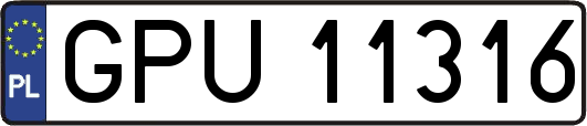 GPU11316