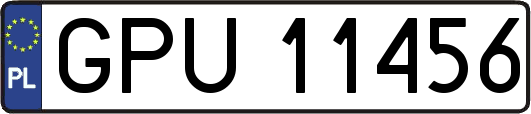 GPU11456