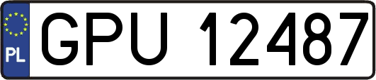 GPU12487