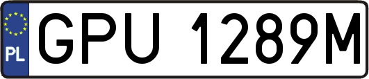GPU1289M