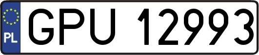 GPU12993