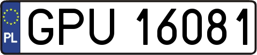 GPU16081