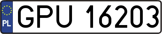 GPU16203