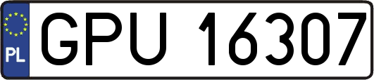 GPU16307