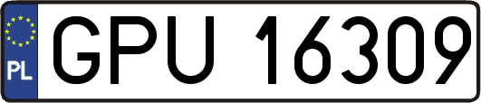 GPU16309