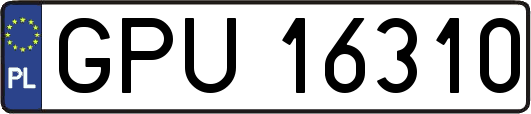 GPU16310