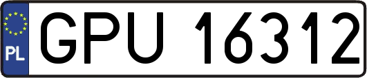 GPU16312