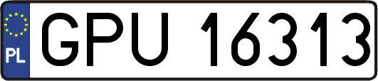 GPU16313