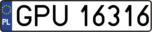 GPU16316