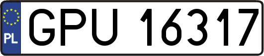 GPU16317
