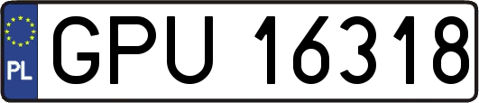 GPU16318