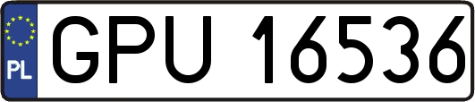 GPU16536