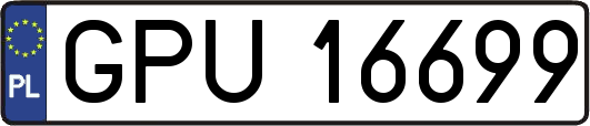 GPU16699