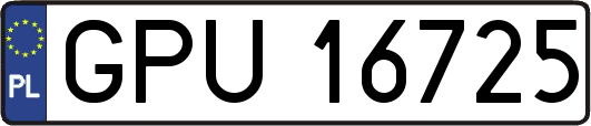 GPU16725