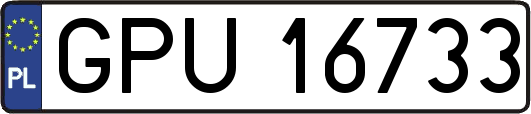 GPU16733