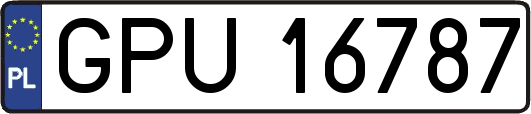 GPU16787